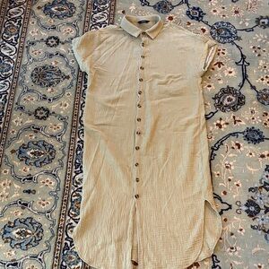 Light Sage Button-Down Shirt Dress